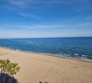 an empty beach with palm trees and the ocean at Apartamentos Wundermar in Torredembarra