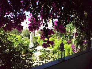 a garden with purple flowers and a street light at Pension Sofia in Parikia