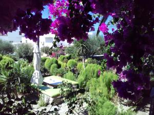 a garden with a bench and purple flowers at Pension Sofia in Parikia