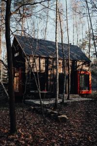 domek z bali z czarnym dachem w lesie w obiekcie Tu, Tam i Tamten Domek w mieście Wojtyniów
