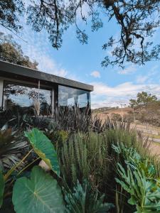 La Contemporânea Cabanas prox a cidade vista para ponto turístico في أوروبيسي: منزل في وسط ميدان فيه نباتات