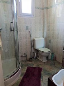 a bathroom with a shower and a toilet and a sink at Villa tres proche du centre ville in Nice +13 photos