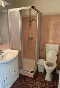 a bathroom with a shower and a toilet and a sink at Pension Carinthia in Unterburg am Klopeiner See