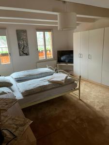 1 dormitorio con 1 cama grande y TV en "Terrasse" Nessental en Gadmen