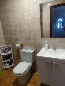 y baño con aseo, lavabo y espejo. en Apartamentos turísticos Lemos, en O Pedrouzo