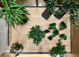 a wall with potted plants on it at Hotel Fregat in Kyiv