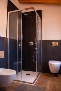 a bathroom with a shower with a toilet and a sink at Garni Le Grigne in Barzio