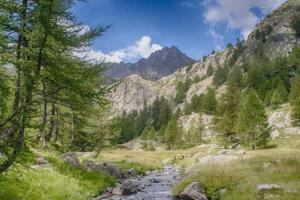 Príroda v okolí apartmánu
