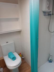 baño con aseo y cortina de ducha azul en Mildenhall Suffolk, en Mildenhall