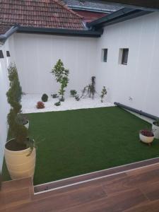 a backyard with a green lawn and potted plants at Apartman Golden in Senta