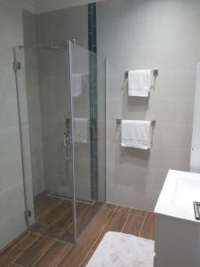 a bathroom with a glass shower and a sink at Apartman Golden in Senta