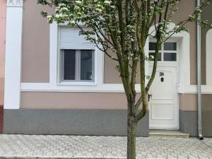 Fotografie z fotogalerie ubytování Apartman Golden v destinaci Senta