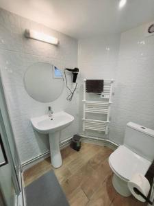La salle de bains est pourvue d'un lavabo, de toilettes et d'un miroir. dans l'établissement Family flat Stade de France airport CDG Le Bourget "Appart'7", à Pierrefitte-sur-Seine