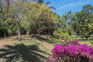 a garden with pink flowers and trees at Seven Palms Villa in Runaway Bay
