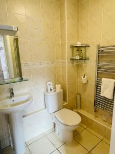 a bathroom with a toilet and a sink at Fairlight Guesthouse in Glenridding