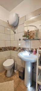 een badkamer met een wastafel, een toilet en een spiegel bij Domus - IL GIRASOLE in Montecelio