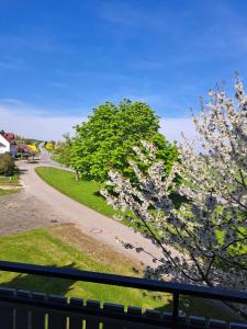 Ein Baum mit weißen Blumen auf einer Straße in der Unterkunft Gästehaus Six Inn mit Gemeinschaftsküche bis 6 Personen in Uttenweiler
