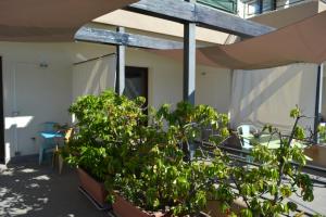 uma varanda com plantas em vasos num edifício em Casa Paola em Monreale