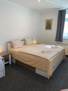 波傑布拉迪的住宿－Apartmán U Kostela，一间卧室,卧室内配有一张大床
