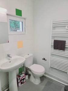 Łazienka z białą toaletą i umywalką w obiekcie Appartement proche St denis "appart 3" w mieście Pierrefitte-sur-Seine