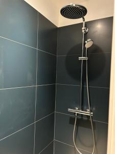 La salle de bains est pourvue d'une douche avec un pommeau de douche. dans l'établissement MANOIR DE CLERMONT, à Saint-Malo