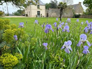 a bunch of purple flowers in a garden at MANOIR DE CLERMONT in Saint Malo