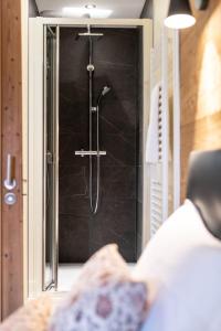 une douche dans une chambre avec une porte vitrée dans l'établissement APPALACHES Annecy Rent Lodge, à Annecy 7 autres photos