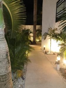 a walkway in front of a building with palm trees at Seven Boutique Apartments Cancún in Cancún