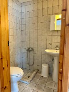 a bathroom with a toilet and a sink at Sfinias Apartments in Kali Limenes