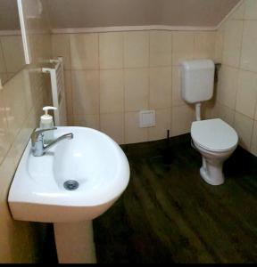 La salle de bains est pourvue d'un lavabo blanc et de toilettes. dans l'établissement Vila Maya, à Băile Tuşnad