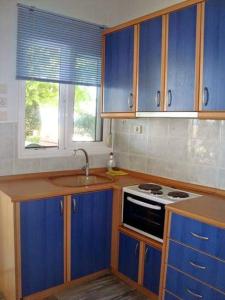 韋利卡的住宿－Apartments Xara，厨房配有蓝色橱柜、水槽和炉灶。