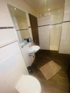 ein Bad mit einem WC und einem Waschbecken in der Unterkunft Ferienwohnung Burkhart in Bundenthal
