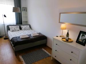 a bedroom with a bed and a dresser with a mirror at APARTAMENT OGRODY in Leszno