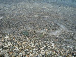 Gallery image of Xara Apartments in Velika