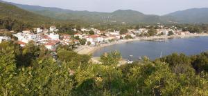 Táj Show holiday homes közelében