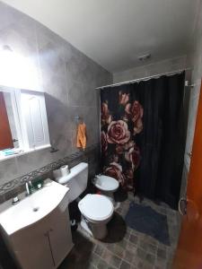 a bathroom with a sink and a toilet and a shower at Casa amplia y cómoda in General Alvear