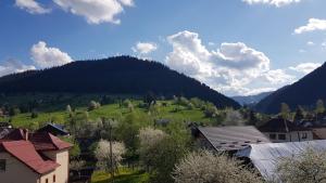 vista su un villaggio con una montagna sullo sfondo di Garsoniera Emilia a Câmpulung Moldovenesc