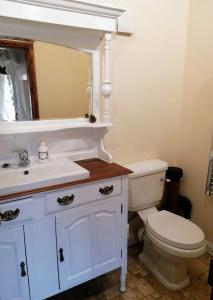 a bathroom with a toilet and a sink and a mirror at Poplar Cottage in Woodhall Spa