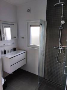 ein Bad mit einer Dusche, einem Waschbecken und einer Dusche in der Unterkunft Chalet Seepark Süsel in Süsel