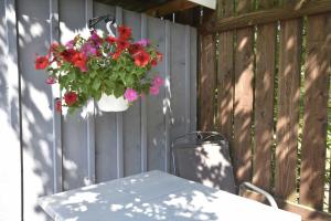 a table and a flower pot on a wooden fence at Fewo EG im roten Haus am Ostsee Radweg OVS 103 neu 20 in Blowatz
