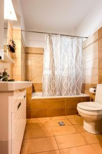 a bathroom with a toilet and a shower and a sink at Saint Georgio Castle View Villa in Argostoli