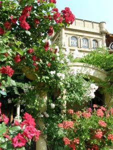 a bunch of flowers in front of a building at Hotel Bow Garden in Komárno