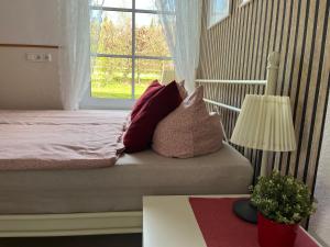 a bedroom with a bed with pillows and a window at Fewo EG im roten Haus am Ostsee Radweg OVS 103 neu 20 in Blowatz