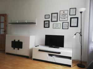 Televízia a/alebo spoločenská miestnosť v ubytovaní Apartament Zosia