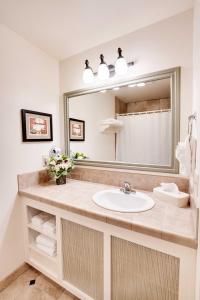 een badkamer met een wastafel en een spiegel bij Oregon Garden Resort in Silverton