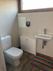 A bathroom at Pirtis su nakvyne dviem