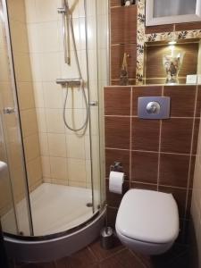 Kúpeľňa v ubytovaní Apartament Zosia