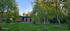 a small wooden house in a field with trees at Mazovia Village - domki blisko Suntago in Puszcza Mariańska