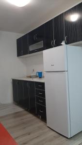 Kuchyň nebo kuchyňský kout v ubytování Apartman TATTOO R LUX