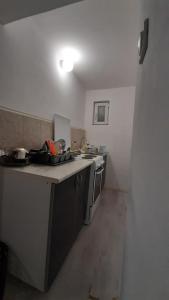 Kuchyň nebo kuchyňský kout v ubytování Apartman TATTOO R LUX